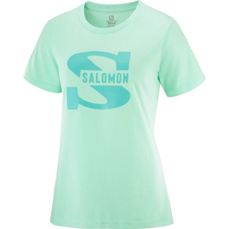 Mint Salomon Outlife Big Logo Short Sleeve Women's T-Shirts | IE CM9561